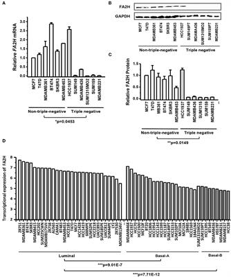 FA2H Exhibits Tumor Suppressive Roles on Breast Cancers via Cancer Stemness Control